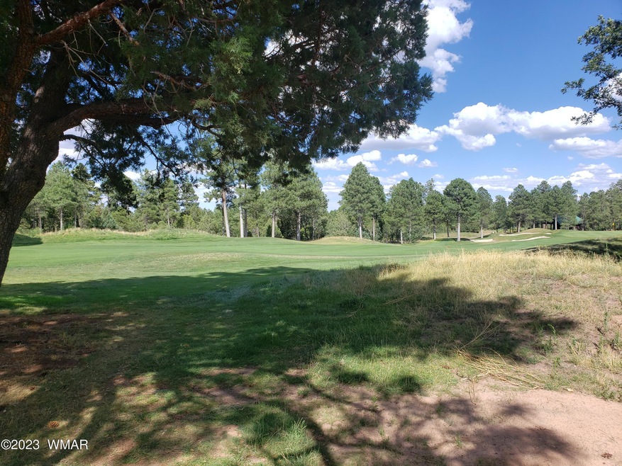 16th Fairway Homesite