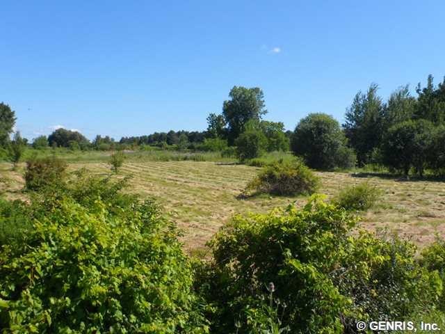 Land/Lot. Welcome to 0 County Rd 4. You could buil