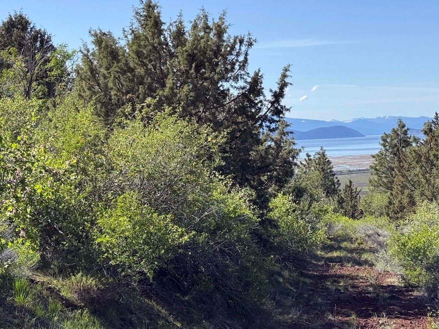 5-Acres Upper Klamath Lake Views