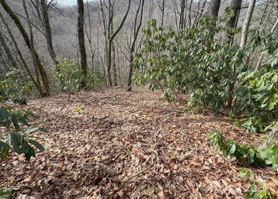 TBD Big Ridge Rd, Bakersville, NC 28705 - photo 1