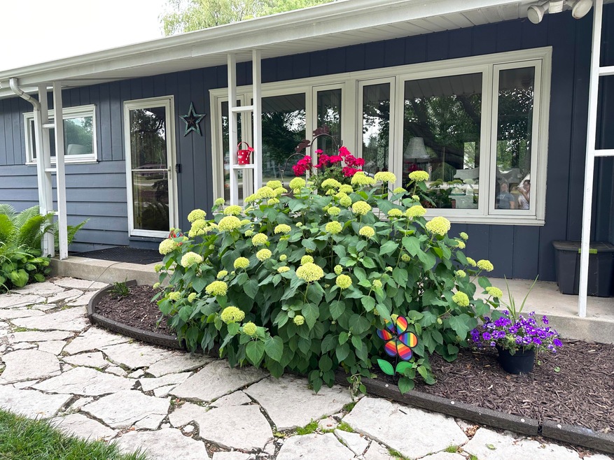 Curb Appeal