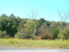 0 Nys Rte 94 unit 5035338, Blooming Grove, NY 10914 - photo 1