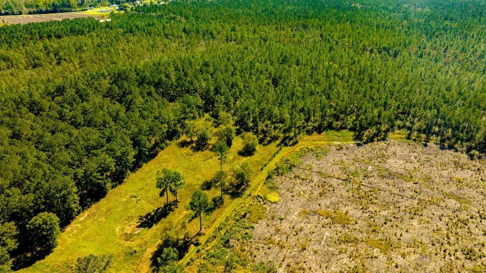 0 Bay Branch Church Rd unit 25551331, Claxton, GA 30417 - photo 1