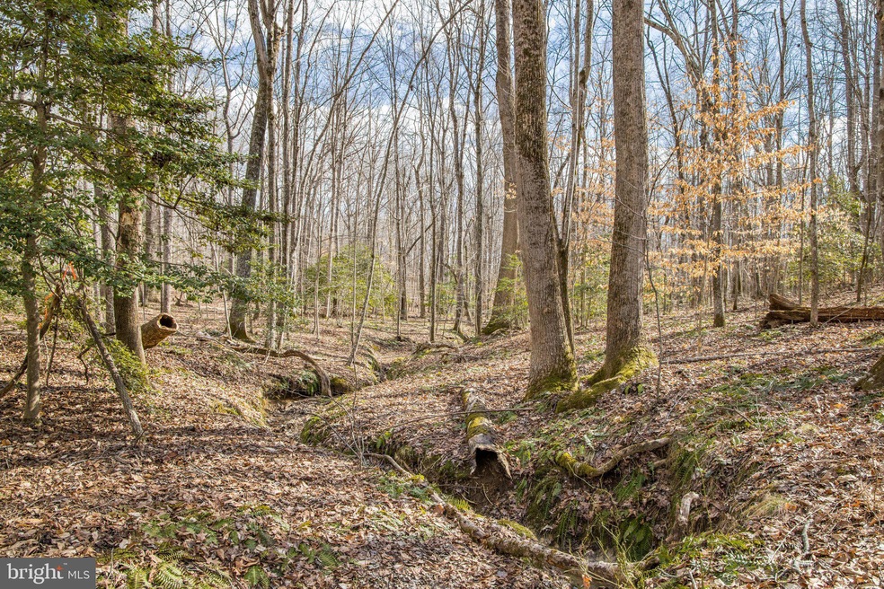 0 Dreamland Rd unit B VACU2006336, Jeffersonton, VA 22724 - photo 1