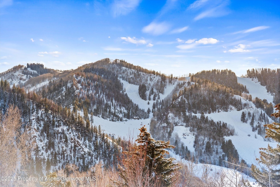 990 E Hopkins Ave, Aspen, CO 81611 - photo 1