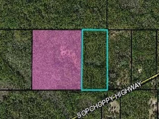 XX Sopchoppy Hwy, Crawfordville, FL 32327 - photo 1