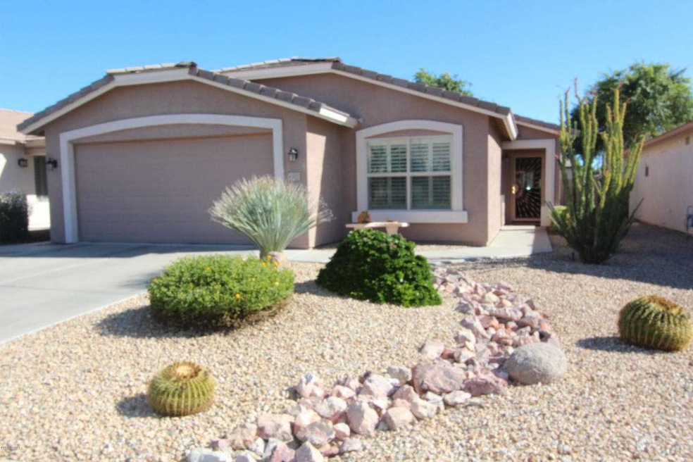 Your New Oasis in the Desert