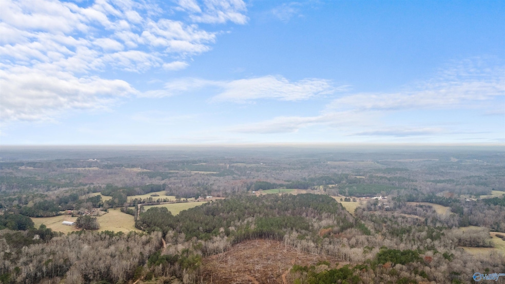 151.13 Acres County Road 673, Roanoke, AL 36278 - photo 1