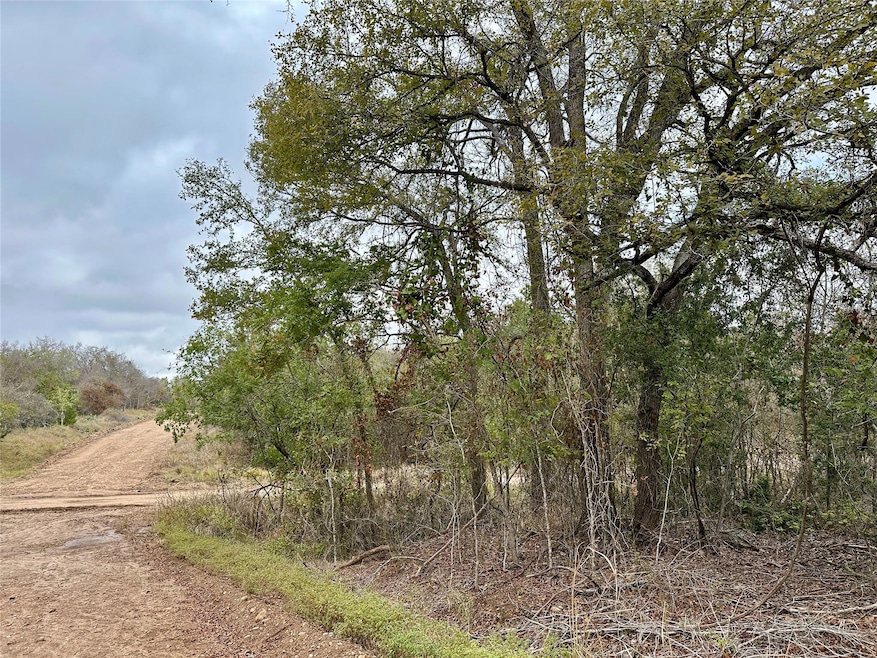 104 E Waiehu Ln, Bastrop, TX 78602 - photo 1