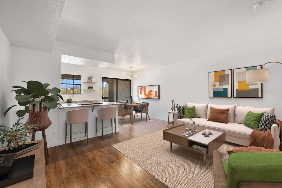 25-web-or-mls-8M4A9502