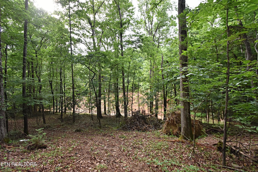 0 Early Rd unit 3 1307350, Knoxville, TN 37922 - photo 1