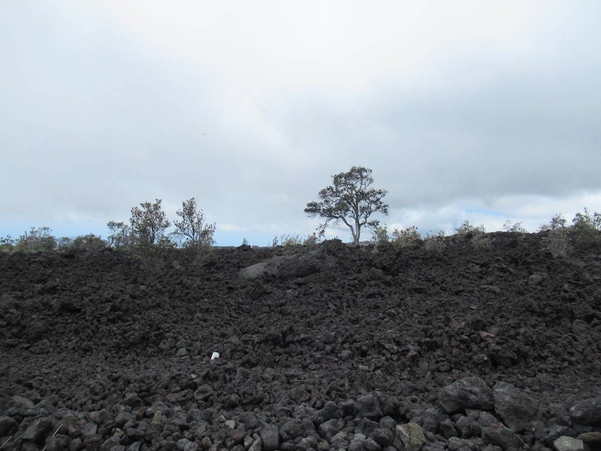 0 Lurline Ln unit 708973, Ocean View, HI 96737 - photo 1