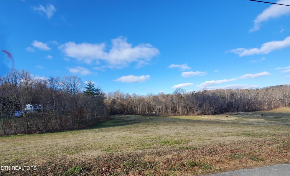 1159 Morgan Rd, Rutledge, TN 37861 - photo 1