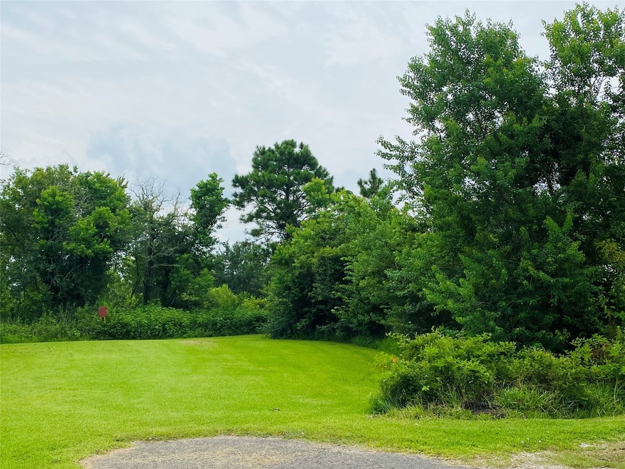 4698 Duchess Lane County Road 305, Alvin, TX 77511 - photo 1