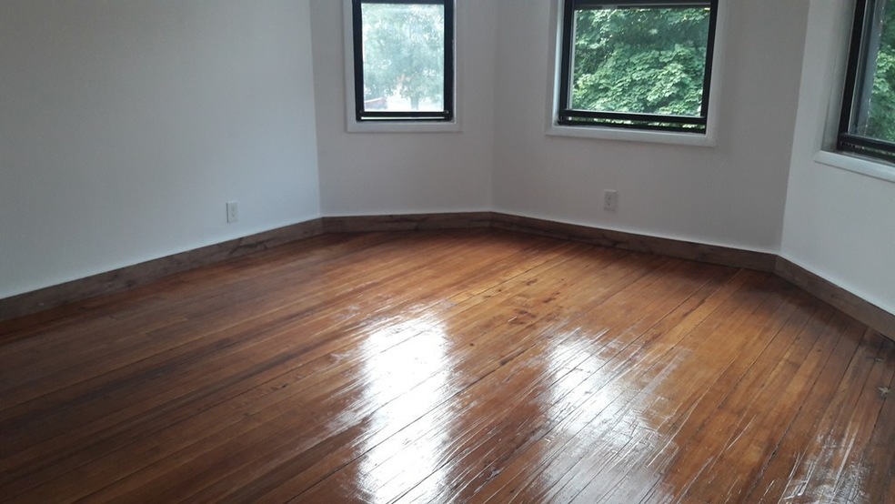 30 Michigan Ave unit 3, Boston, MA 02121 - photo 1
