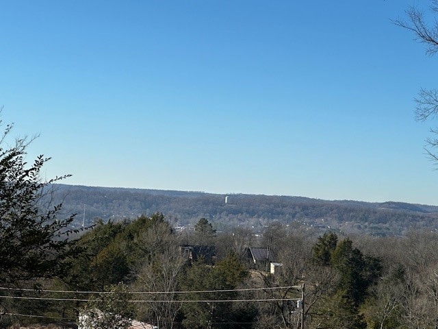 0 N 3rd St, Pulaski, TN 38478 - photo 1