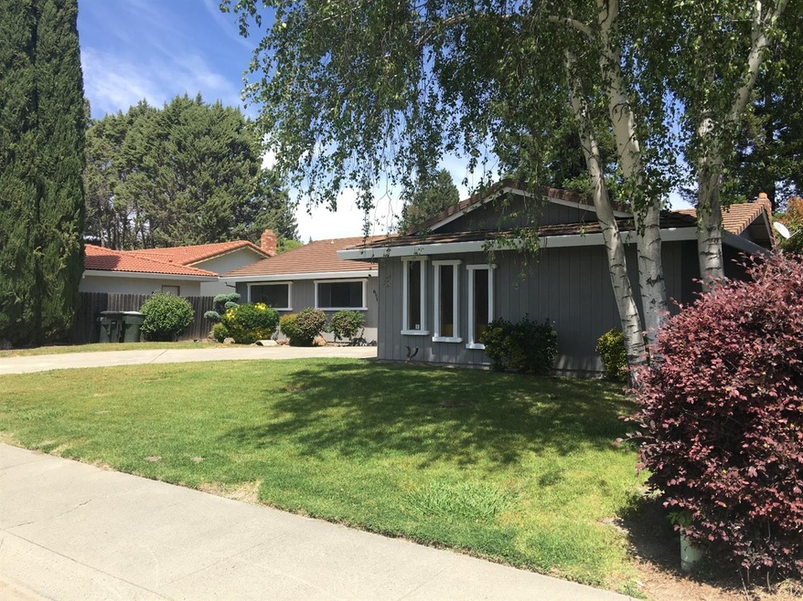 Side View of Your Yard