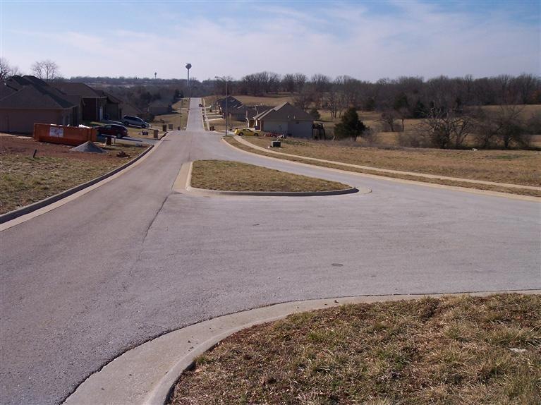 0 E Daisy Falls Dr unit 11302001, Nixa, MO 65714 - photo 1