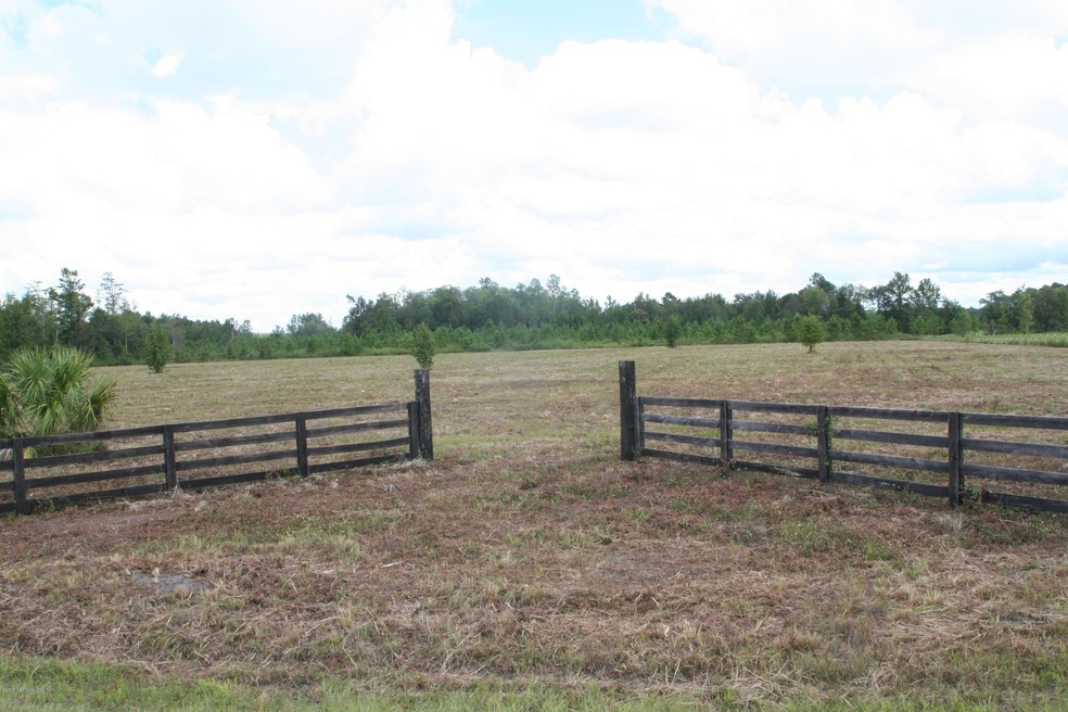 0 Wildlife Way unit 847156, Callahan, FL 32011 - photo 1