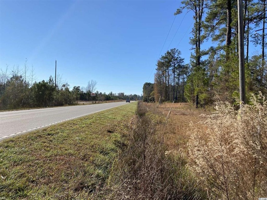 TBD 1.0 Acre Highway 378, Conway, SC 29527 - photo 1