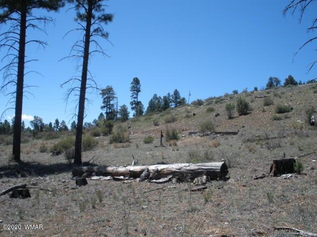 Property view.