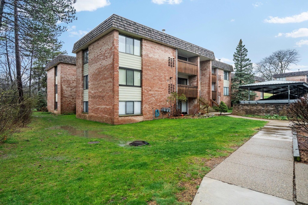 26-web-or-mls-DSC03818