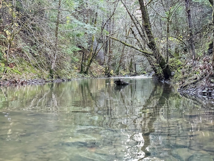 5200 Briceland Rd, Redway, CA 95560 - photo 1