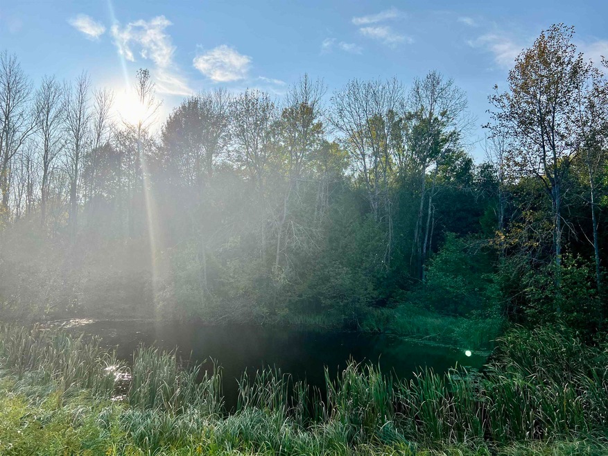 0 State Hwy 180 unit 50298947, Porterfield, WI 54159 - photo 1