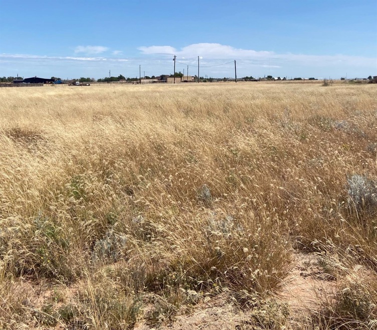 0 Macaw Rd unit 202109886, Ropesville, TX 79358 - photo 1