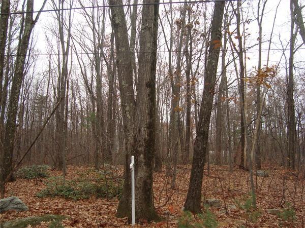 Lot 1 Brewer Way Extension, Holden, MA 01520 - photo 1