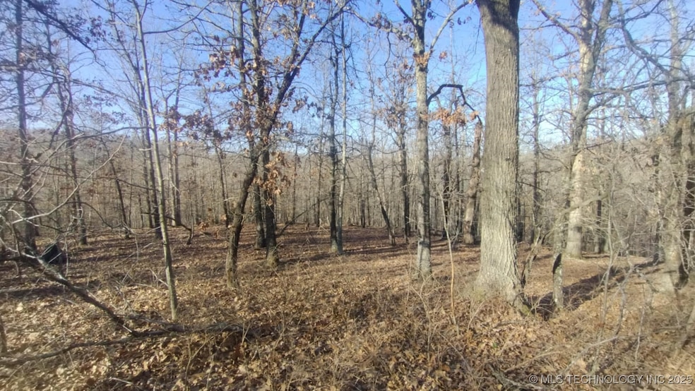 464200 Acorn Ridge, Proctor, OK 74457 - photo 1