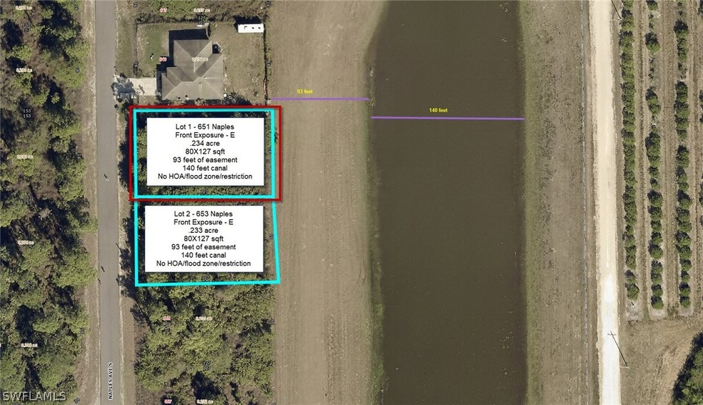 651 Naples Ave S, Lehigh Acres, FL 33974 - photo 1