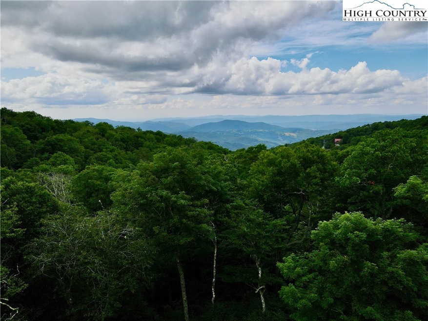 View above the treeline