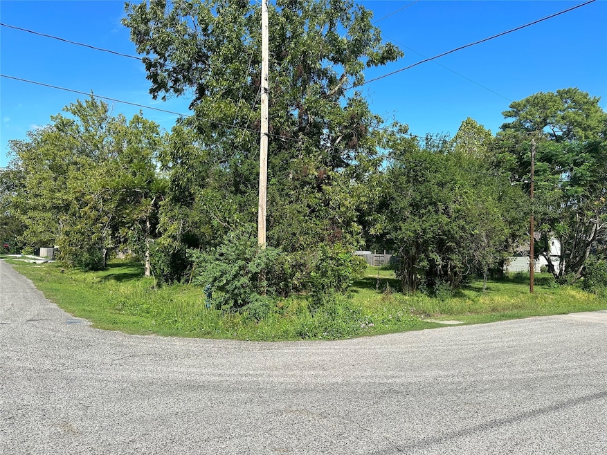 7101 Hoffman St, Houston, TX 77028 - photo 1