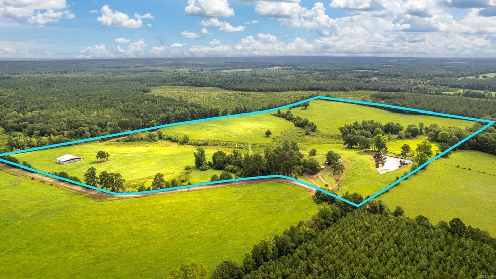 231 Hempstead 209 Rd, Hope, AR 71801 MLS 23021726