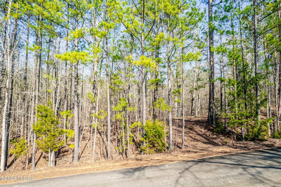 310 Tumbling Shoals Ct, Gray, GA 31032 - photo 1