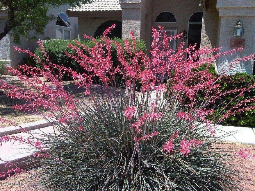 front yard 18