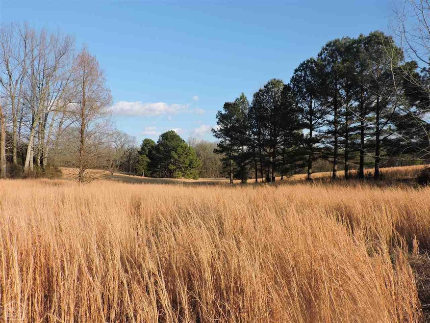 2616 N Culberhouse St, Jonesboro, AR 72401 - photo 1