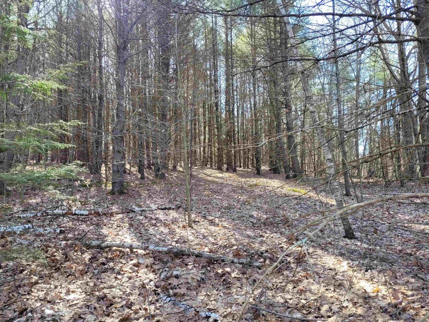 0 Long Meadow Dr unit 4904704, Troy, NH 03465 - photo 1