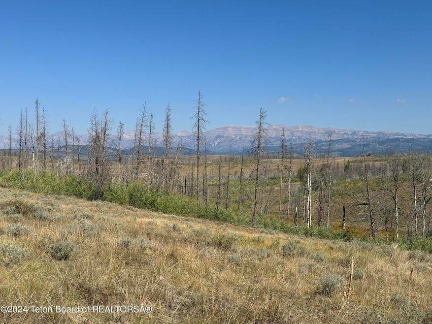 Wonderful Gros Ventre Mountain views