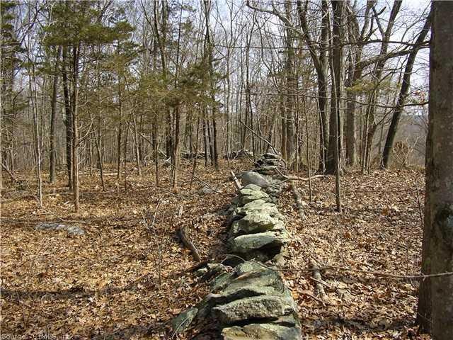 L0T 2 Ray Hill Rd, East Haddam, CT 06423 - photo 1