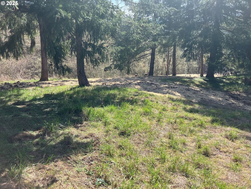 0 NE Center St unit 2 430429617, Sheridan, OR 97378 - photo 1