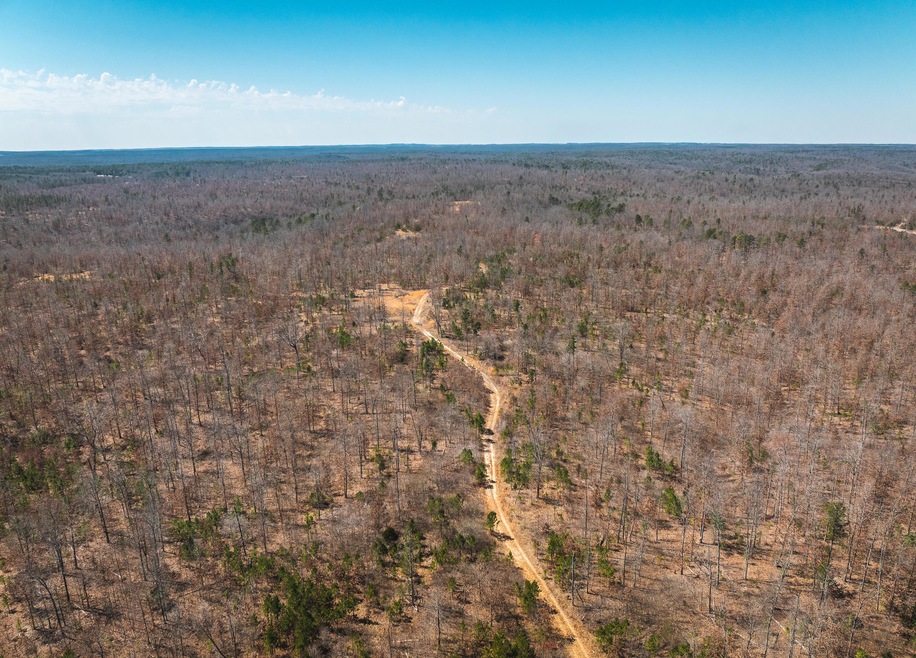 DJI_20240321134513_0124_D