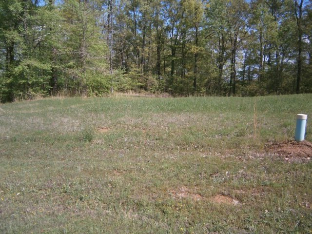 Lot 6 Whitetail Dr, Oxford, MS 38655 - photo 1