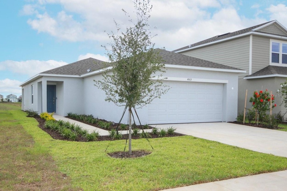 4513 ranunculus street