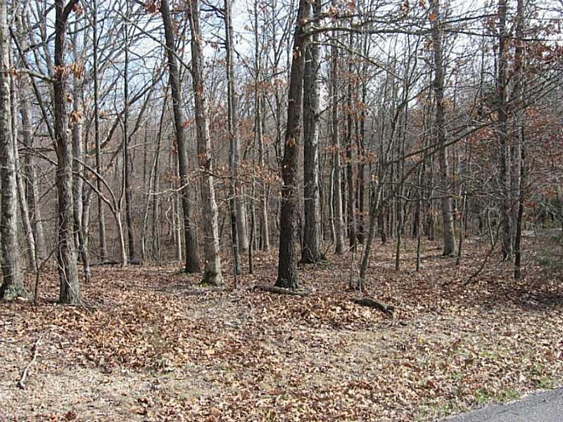 0 Wafton Ln, Bella Vista, AR 72715 - photo 1