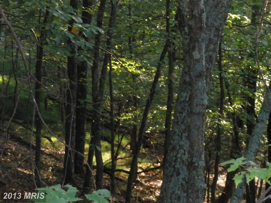 175 S Branch Mountain Rd, Moorefield, WV 26836 - photo 1