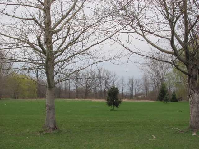 Land/Lot