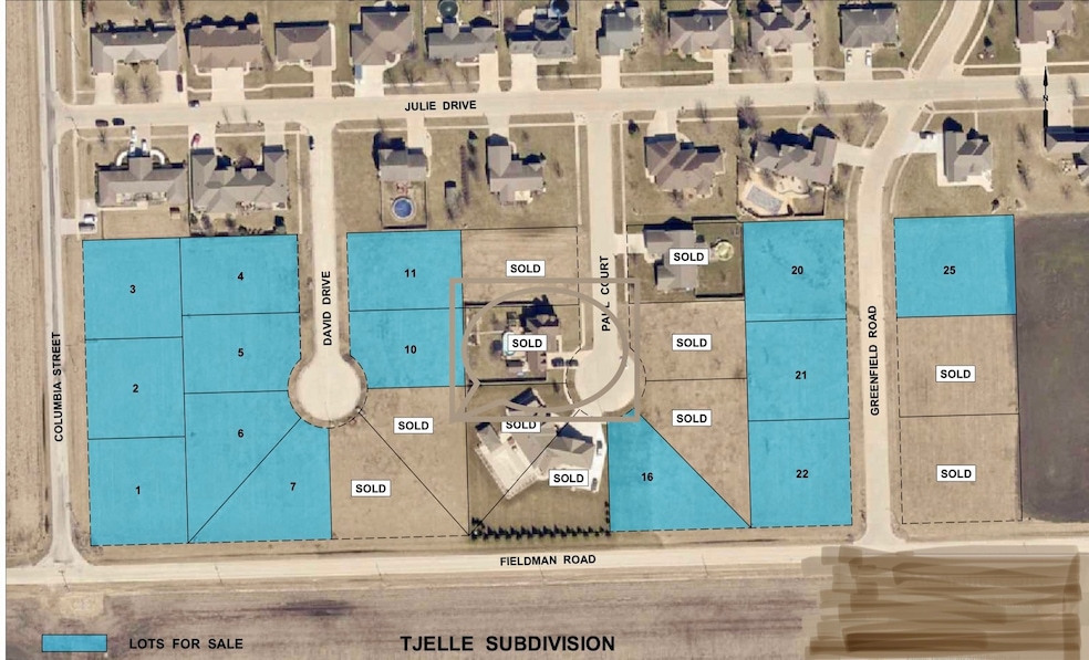 1404 S David Dr, Dwight, IL 60420 - photo 1