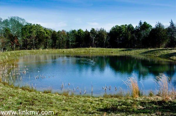 Lot #6 Noras Way, Edgartown, MA 02539 - photo 1